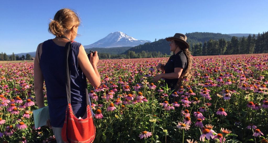 Explore: The Sustainable Herbs Project