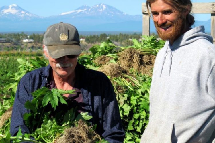 Oregon's Wild Harvest