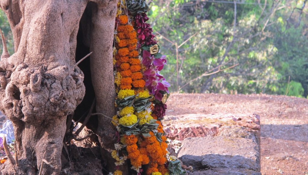 Herbalists can encourage clients to develop a spiritual practice 