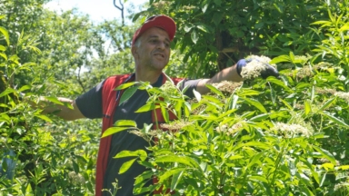 Biodiversity and Wild Herbs