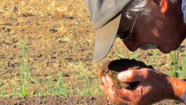 Randy Buresh from Oregon's Wild Harvest - healthy soils are the heart of regenerative agriculture