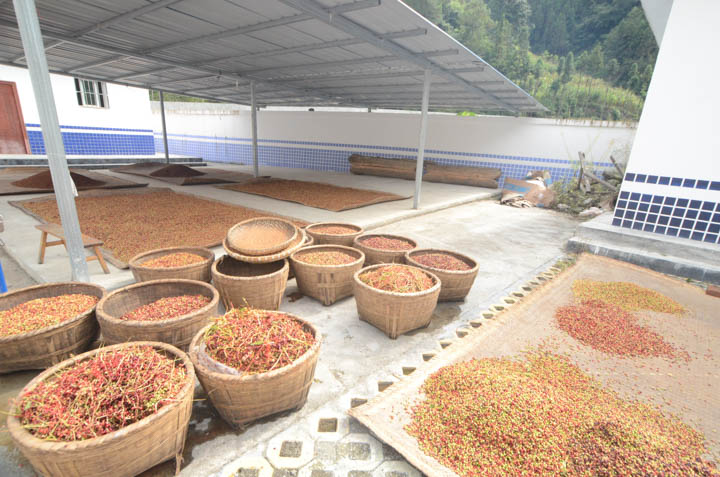 Post-harvest washing of berries