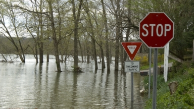 A collection of resources on the ways climate change directly impacts the natural products industry and efforts in the industry to address these impacts.