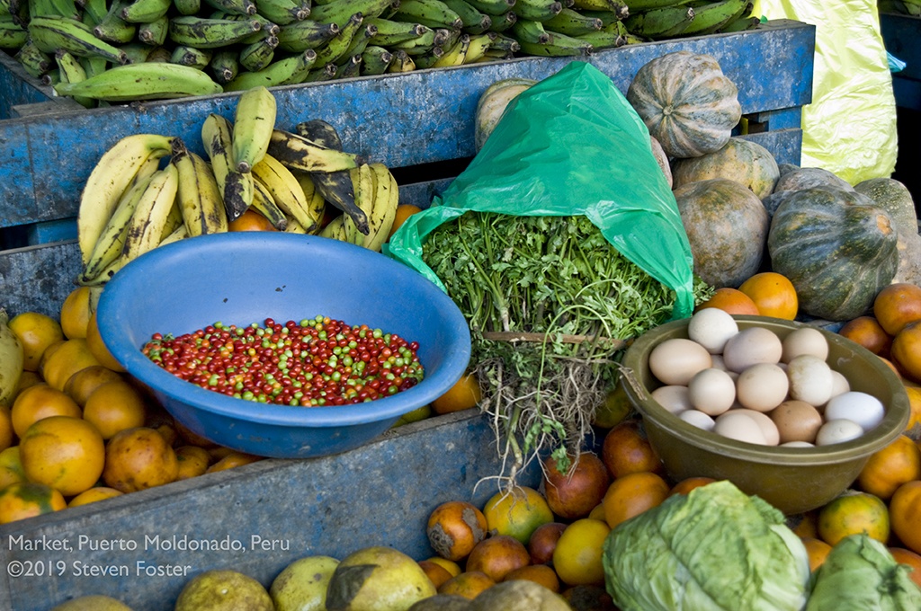 If you care about food security or the planet, the message is clear, Bethany Davis of MegaFood writes. We have to refocus our efforts on saving the soil.