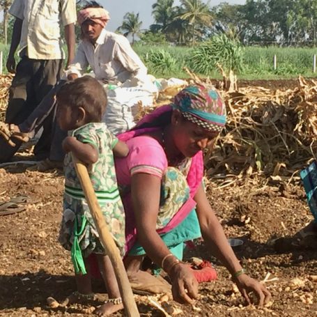 Turmeric picker sorting through material with her young one. Maharashtra, India Feb 2017 Photo; Bill Chioffi