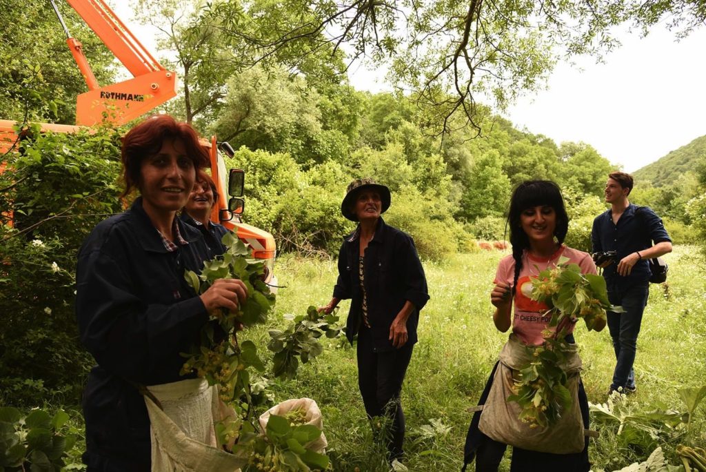 In this video and interview, Andrea Rommeler talks about what sustainability means and its importance in her work with raw material suppliers for the Martin Bauer Group.