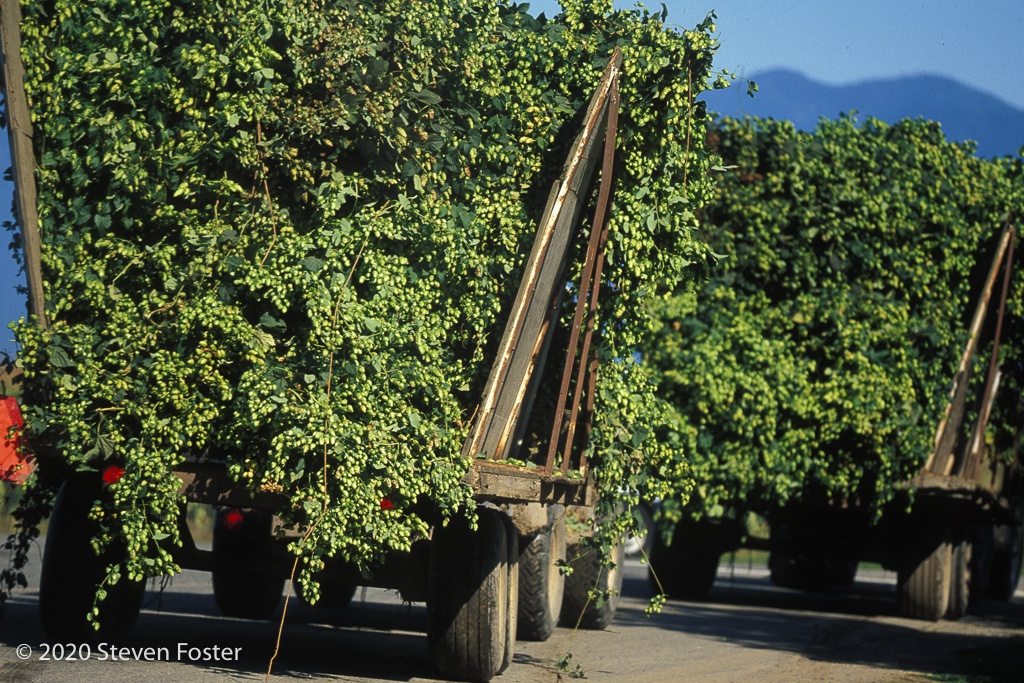 https://sustainableherbsinitiative.org/new-chapter/