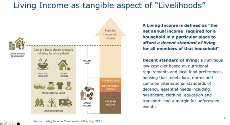 Living Income