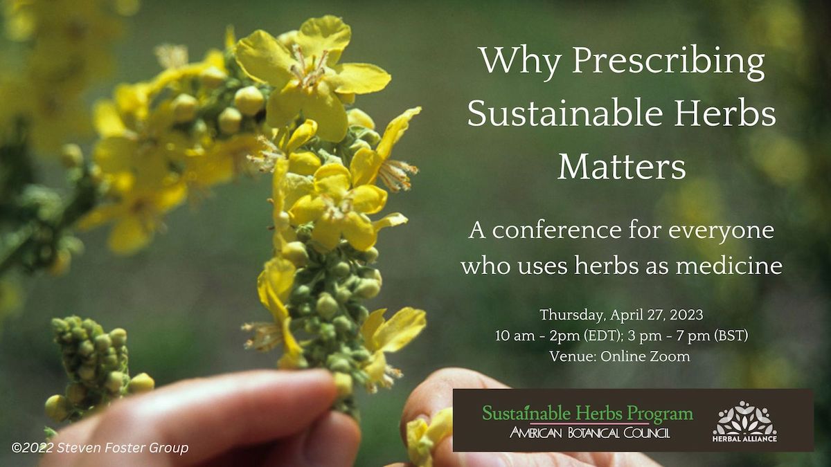 Why Using Sustainable Herbs Matters