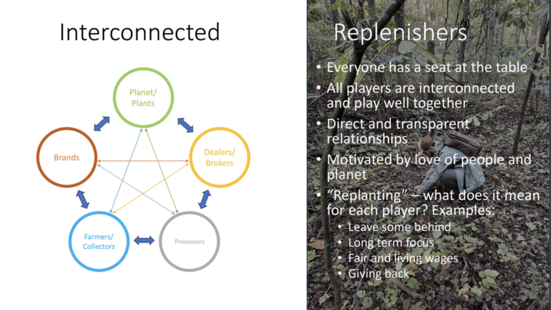 Trent McCausland's graphic sharing his reflections from the SHP Learning Journey.